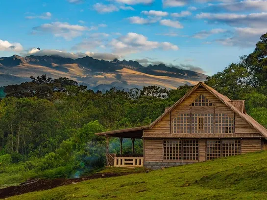 Castle Forest Lodge: A Hidden Gem on the Slopes of Mount Kenya