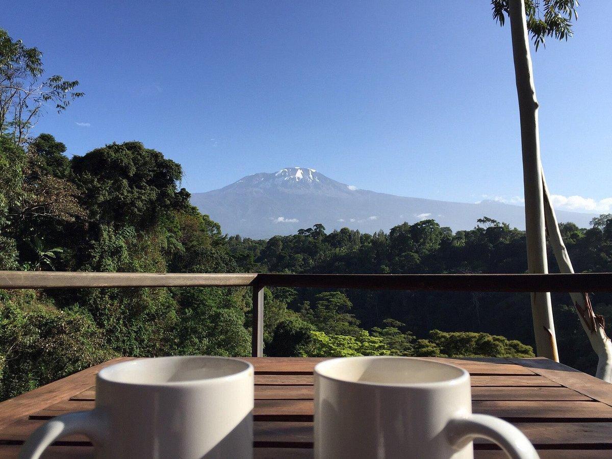 Kaliwa Lodge: Tranquil Retreat by Mount Kilimanjaro