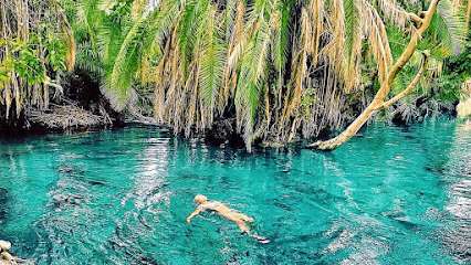 Kikuletwa Hot Springs: A Hidden Oasis in Tanzania