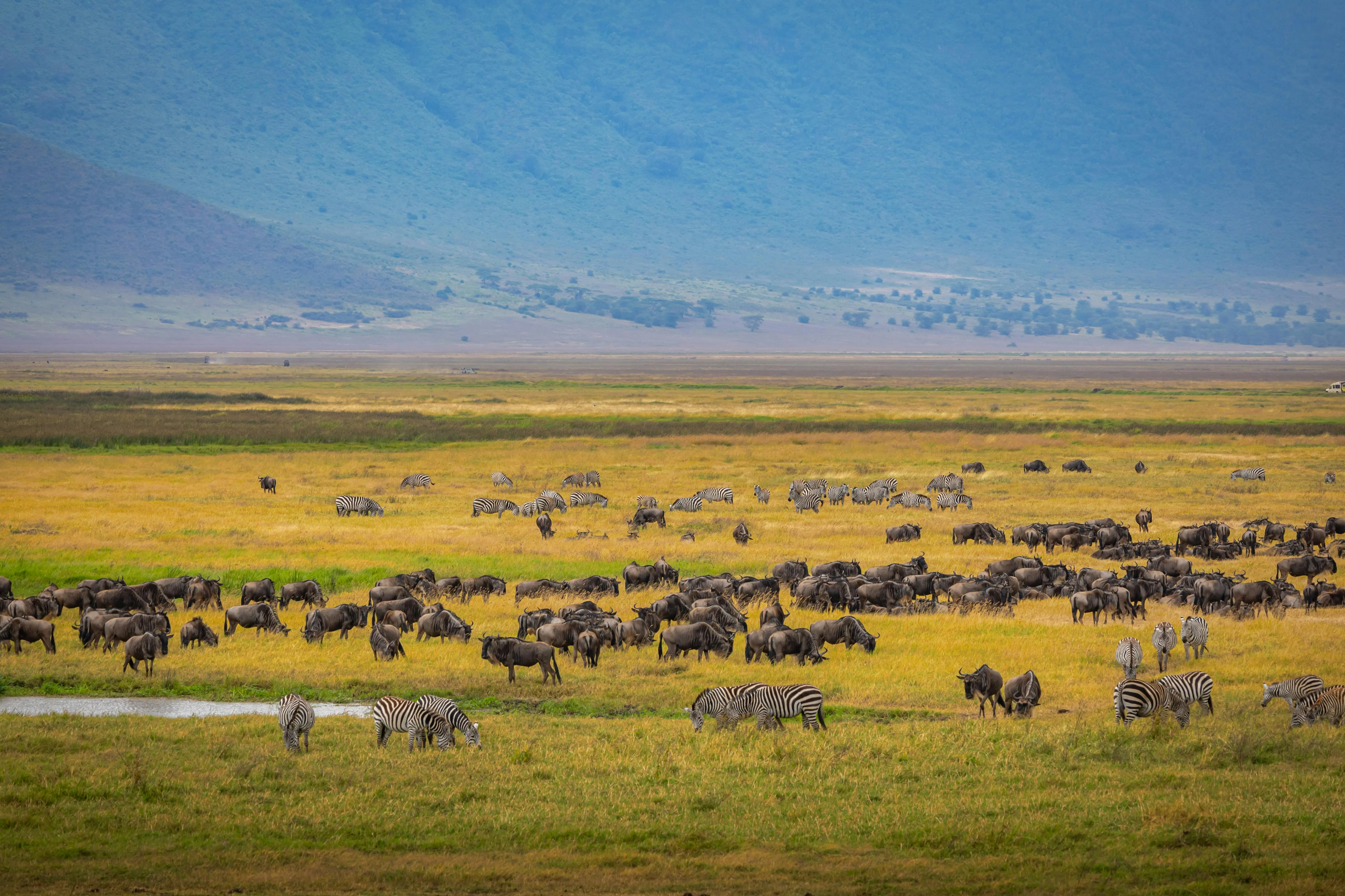 Ngorongoro Crater: Natural Beauty at Its Best