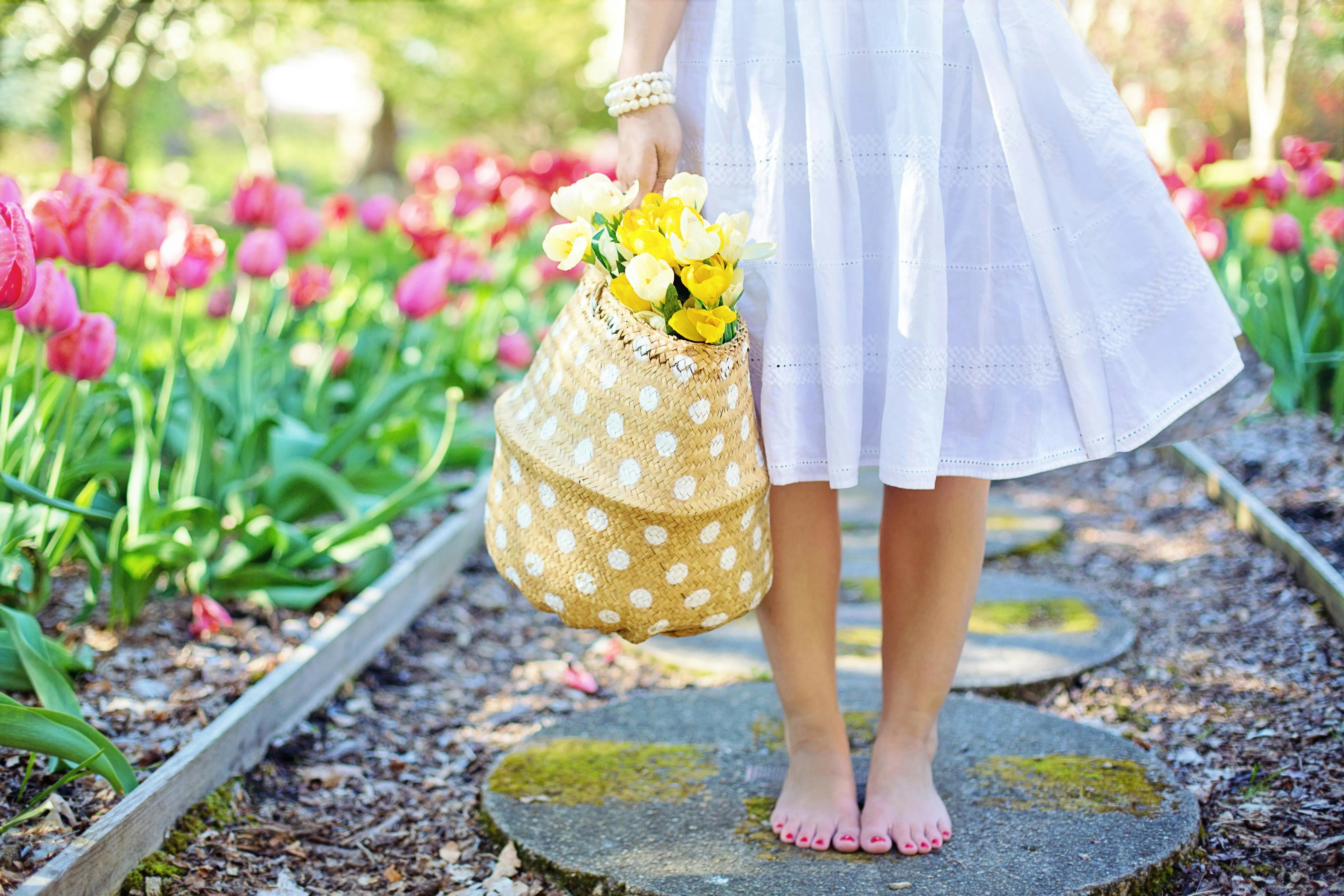 Spring best time to travel to Japan  (March to May): Cherry Blossom Season