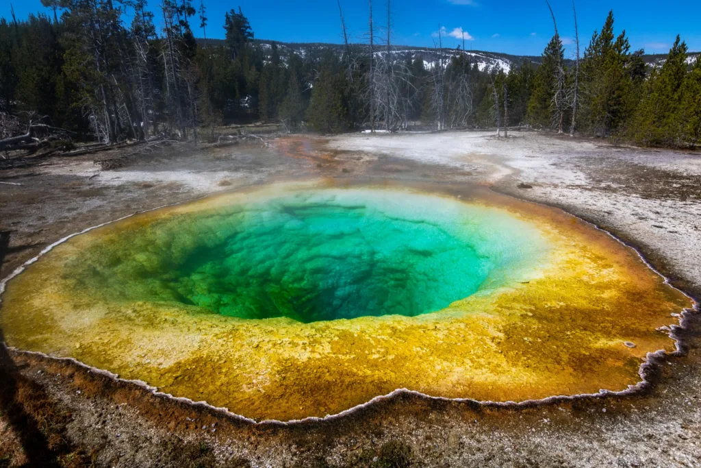 Yellowstone National Park, one of the best national parks in the USA featuring geysers and diverse wildlife.