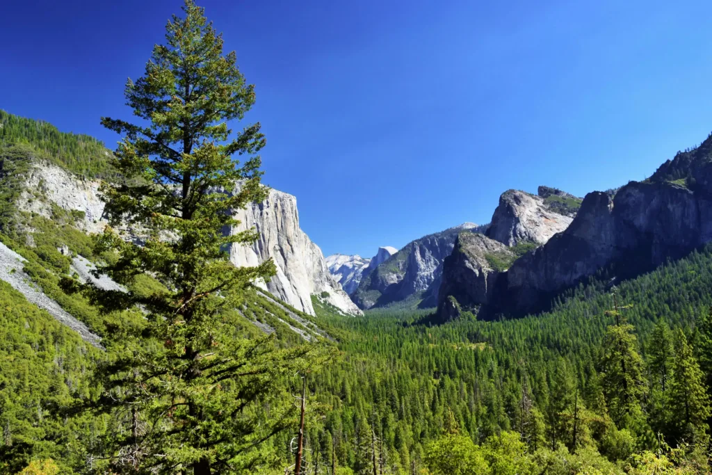 Yosemite National Park, known for its stunning granite cliffs and waterfalls, is one of the best national parks in the USA.